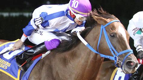 free horse racing results|ESPN.com Horse Racing .